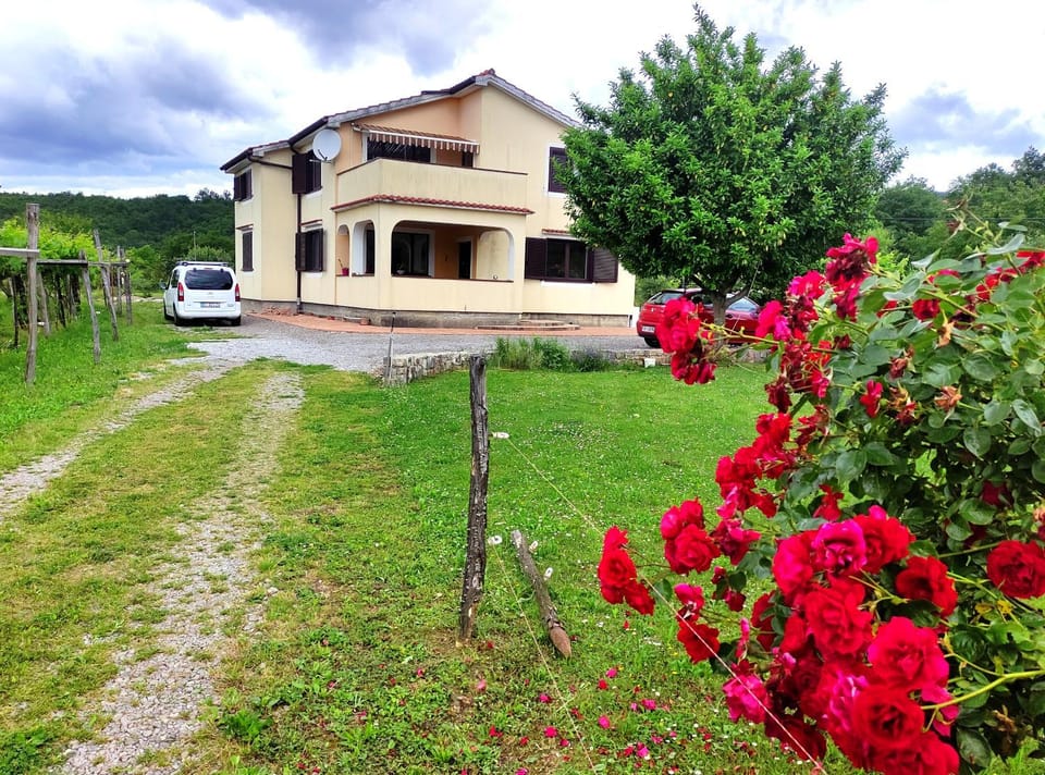 Garden, Garden view