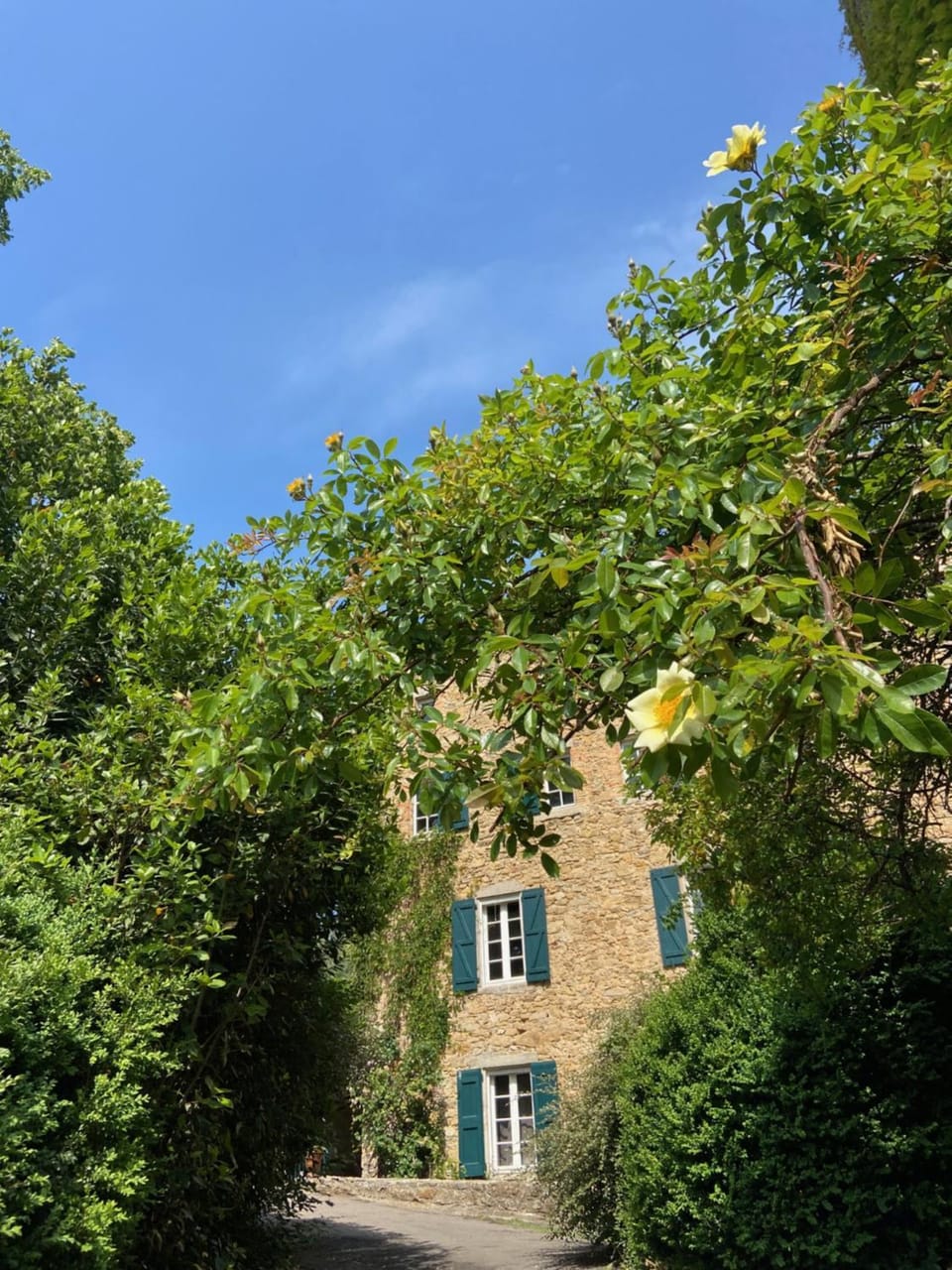 Property building, Spring, Day, Natural landscape, Garden, Garden view