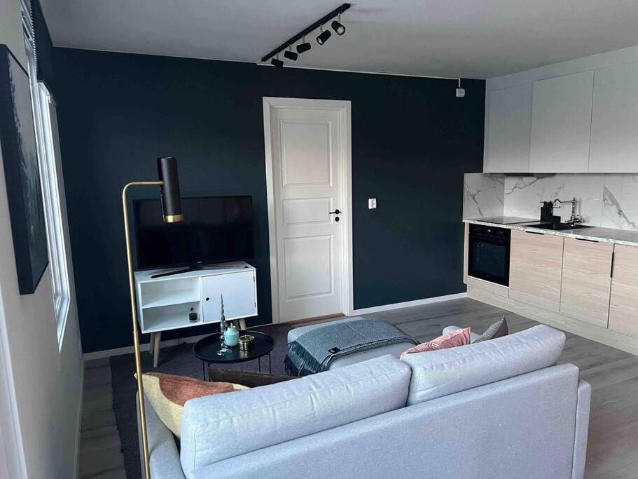 Moderne sentrumsleilighet Apartment in Oslo