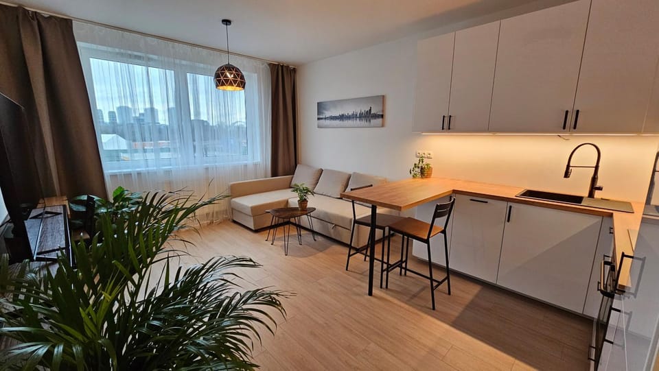 Kitchen or kitchenette, Living room, Seating area