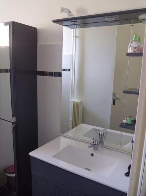 La Saléve Apartment in Occitanie
