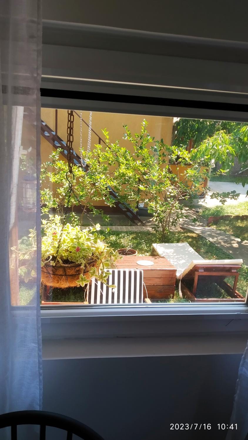 Garden view