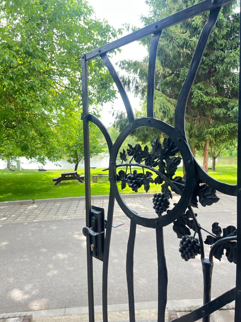 Garden view