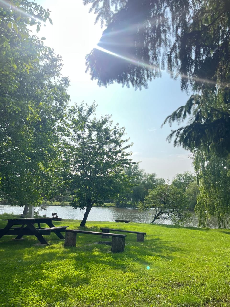 Lake view