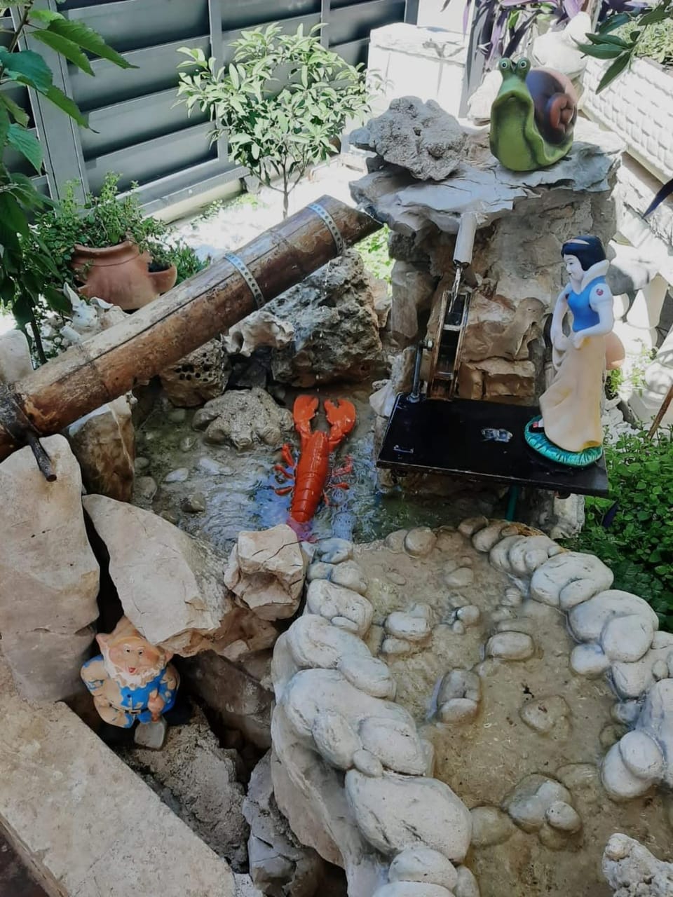 Garden view