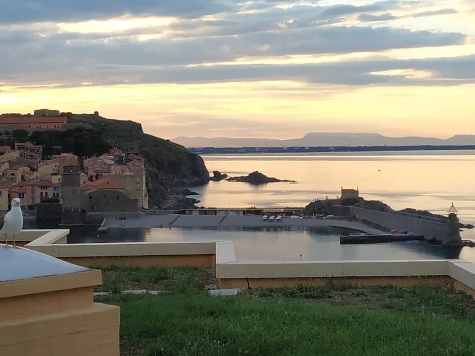 View (from property/room)