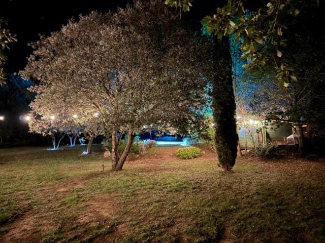 Night, Natural landscape, Garden, Pool view