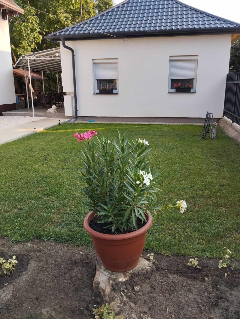 Garden, Garden view