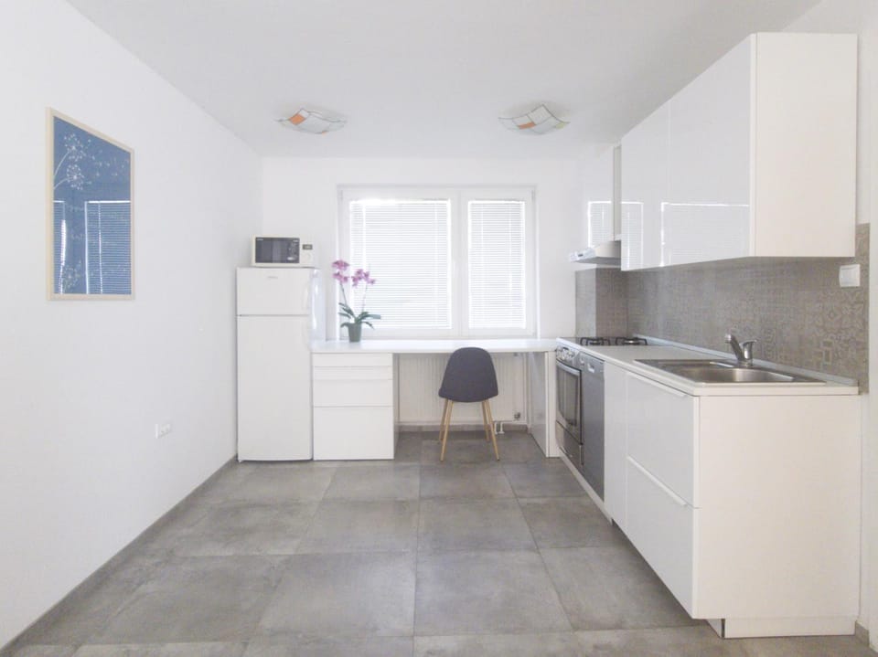 Kitchen or kitchenette, minibar, stove