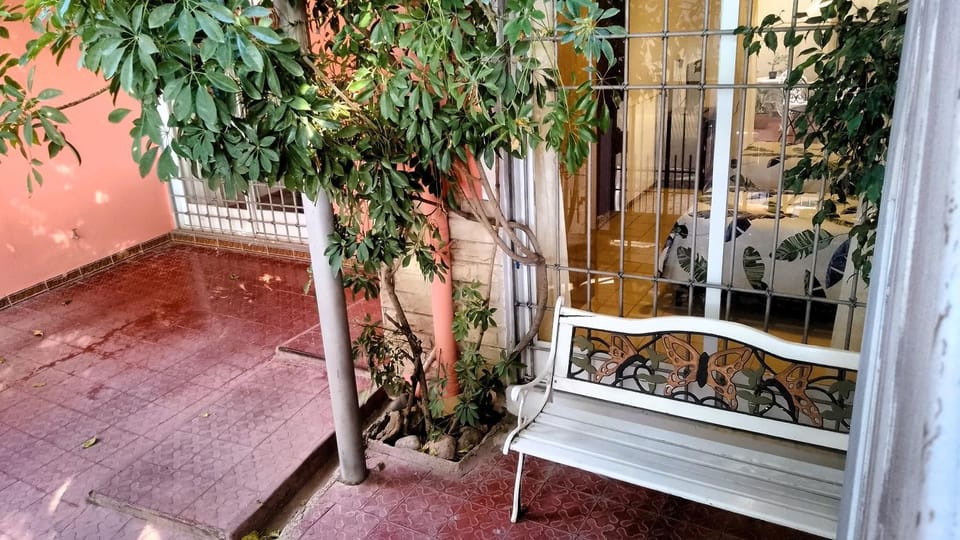 View (from property/room), Garden view
