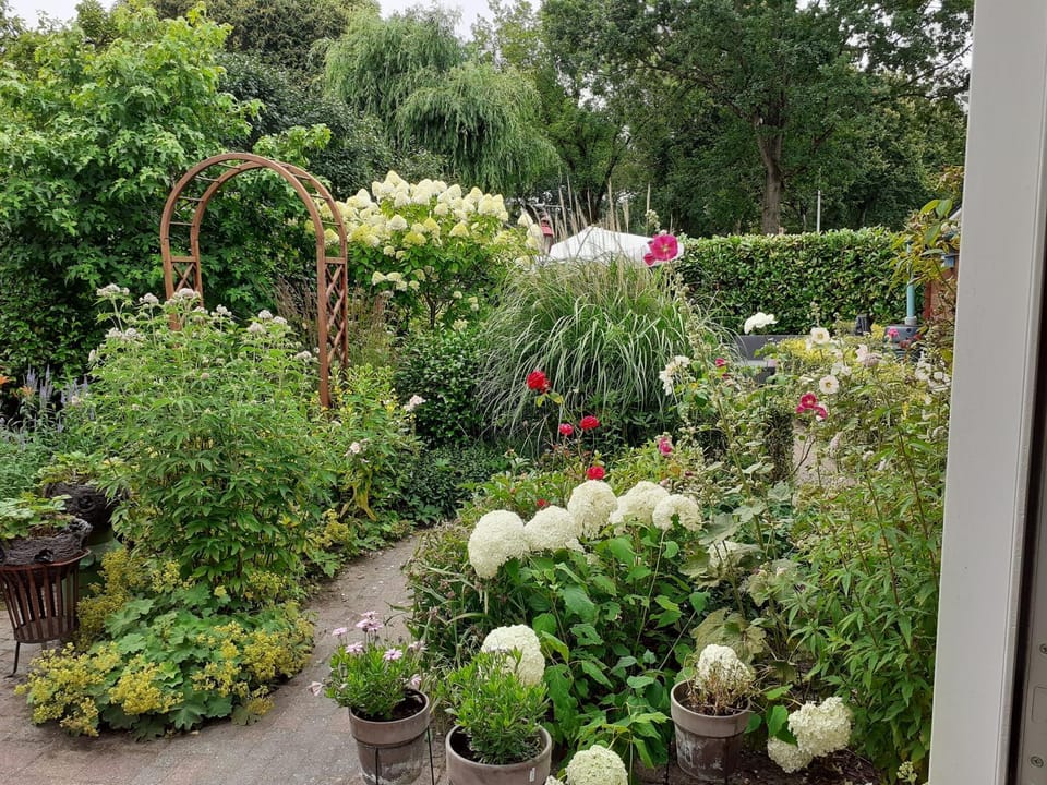 Drenthse-Groninger landschap Bed and Breakfast in Drenthe (province)