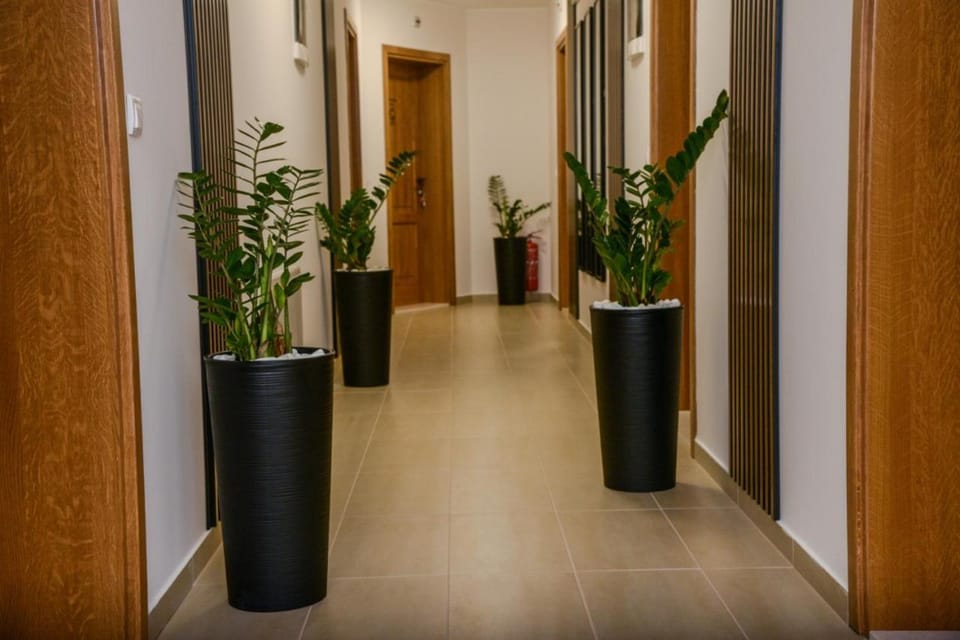 Mini Hotel RiverLux Apartments Apartment in Vojvodina