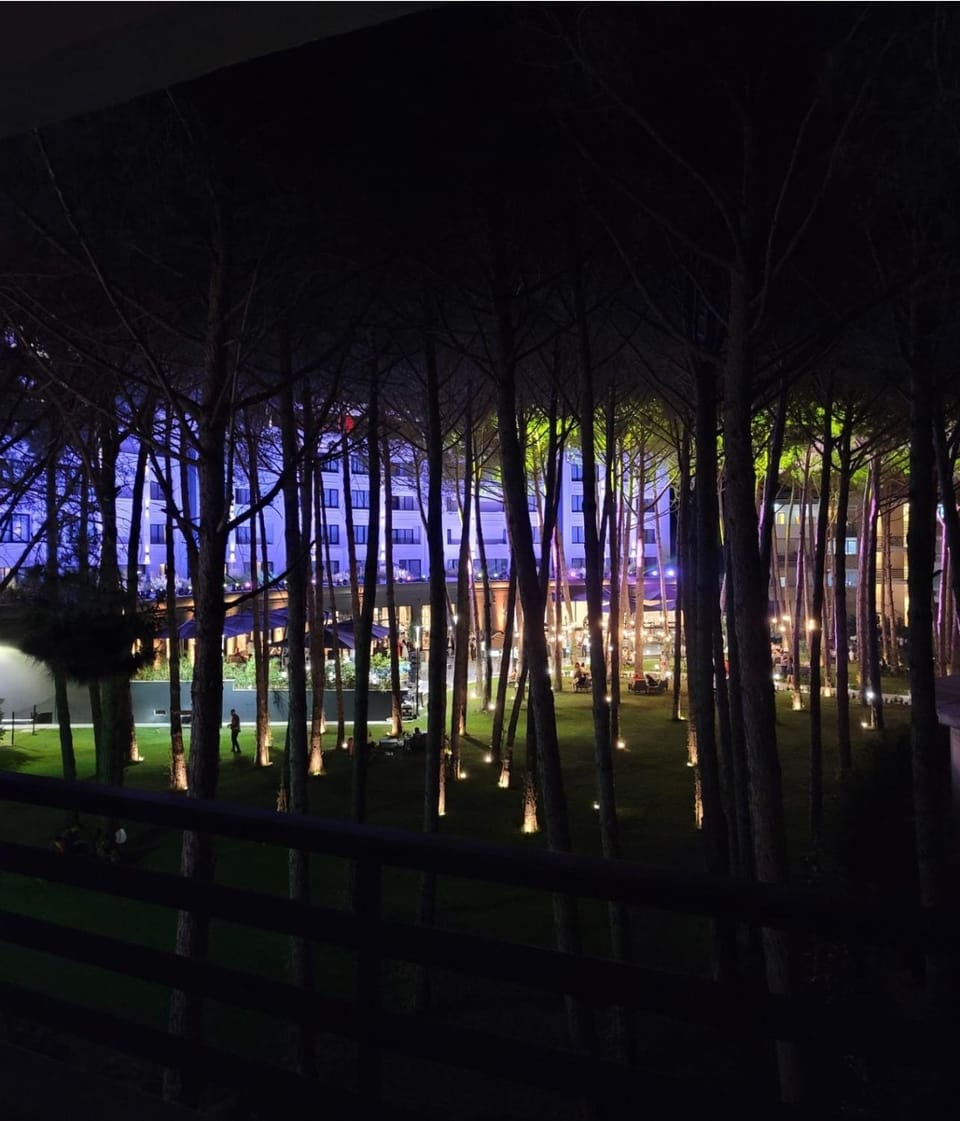Night, Natural landscape