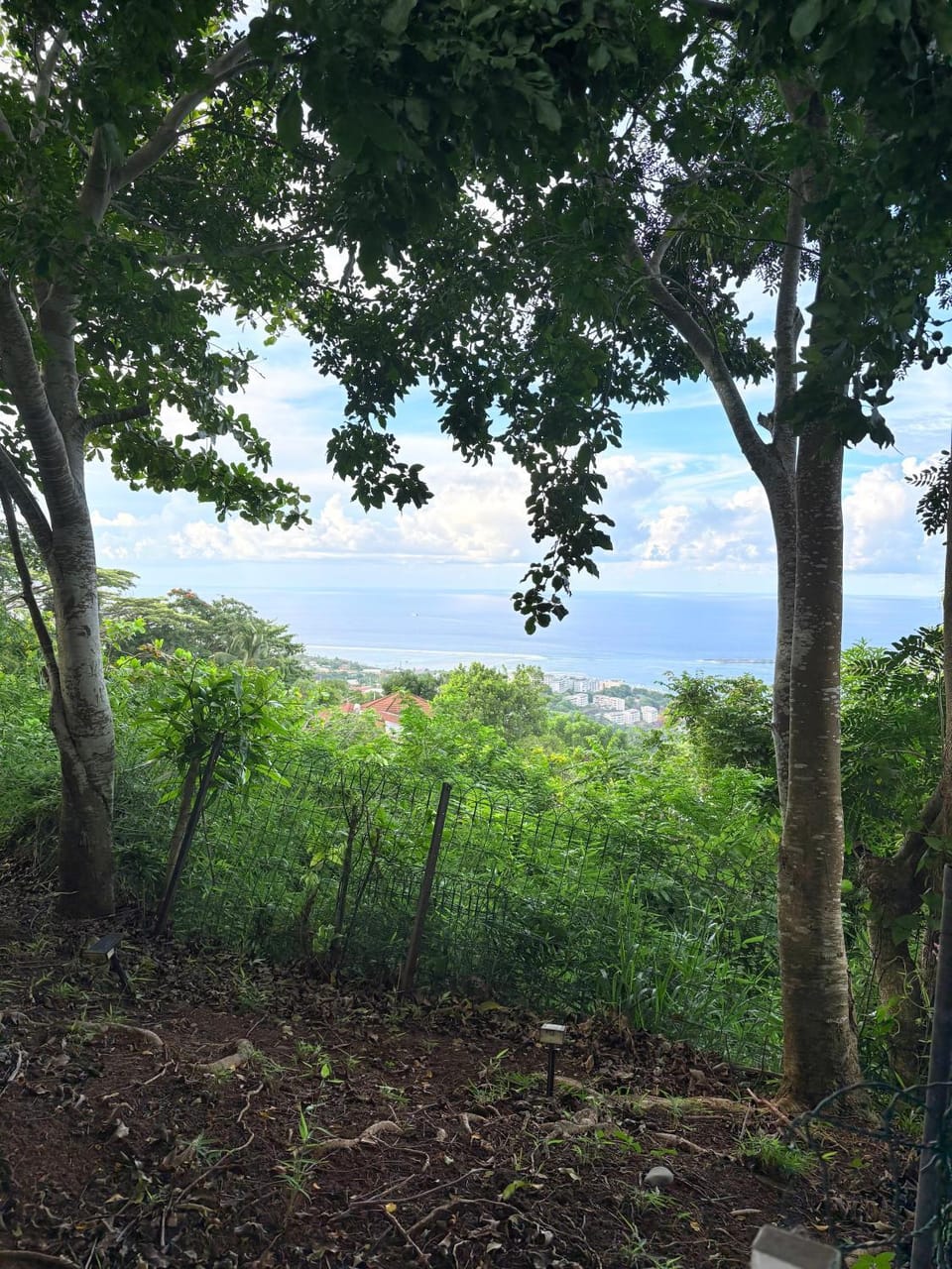 Day, Sea view