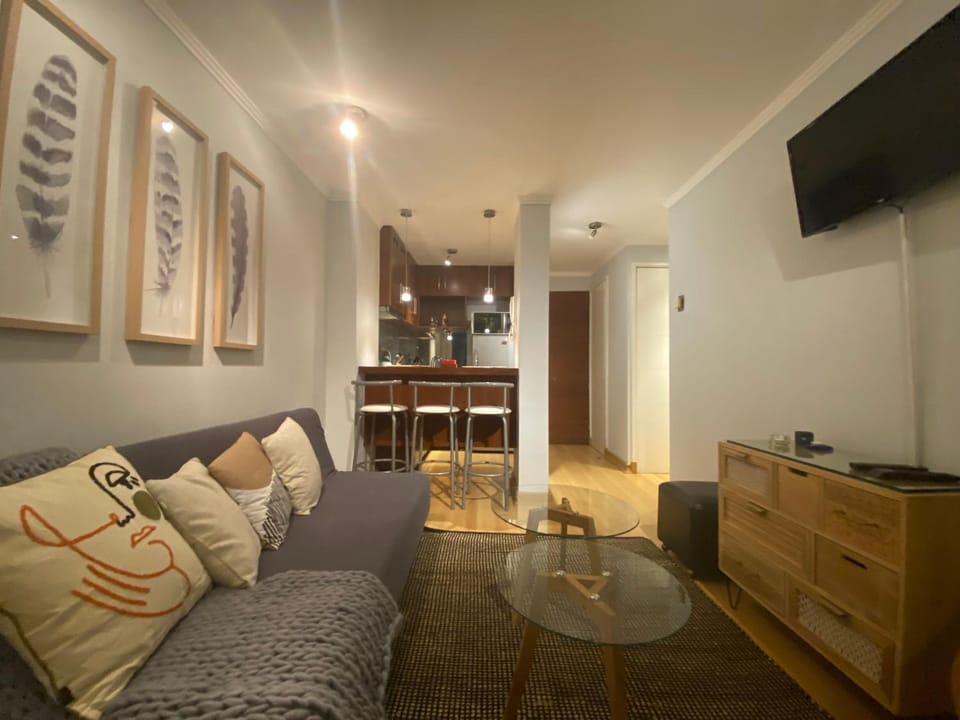 Departamento viña del mar Apartment in Vina del Mar