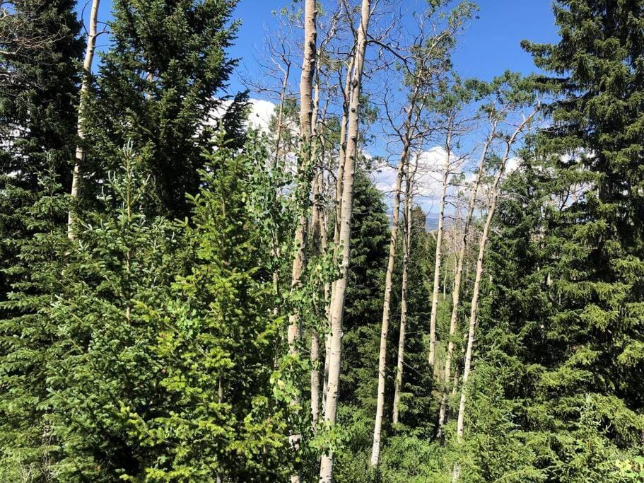 Beautiful Mountain Cabin near Tetons Yellowstone Cabin in Wyoming