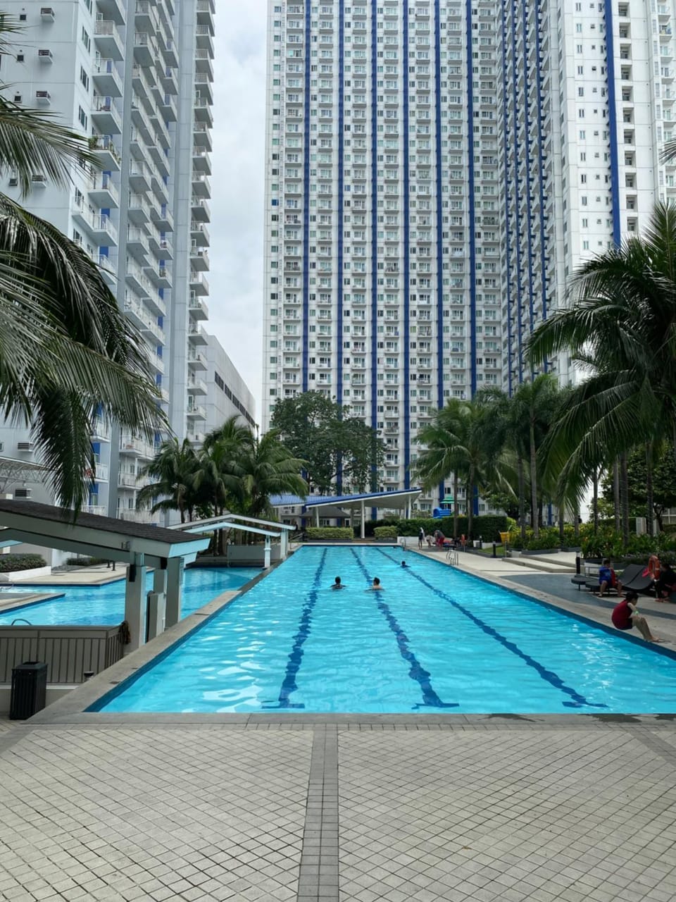 Garden, Swimming pool