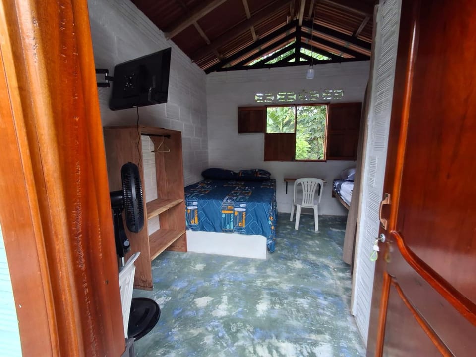 Bed, TV and multimedia