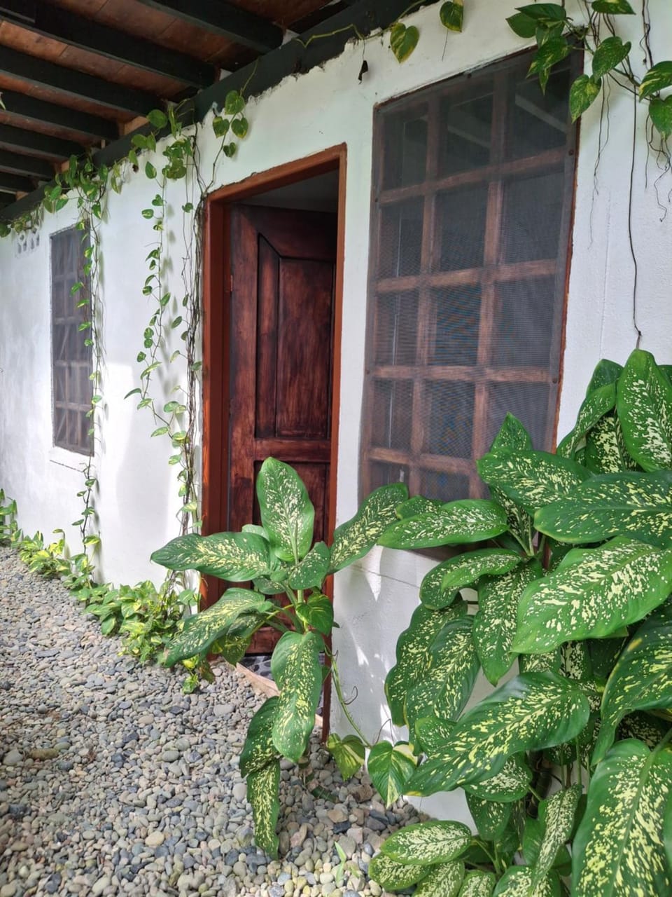 Garden view