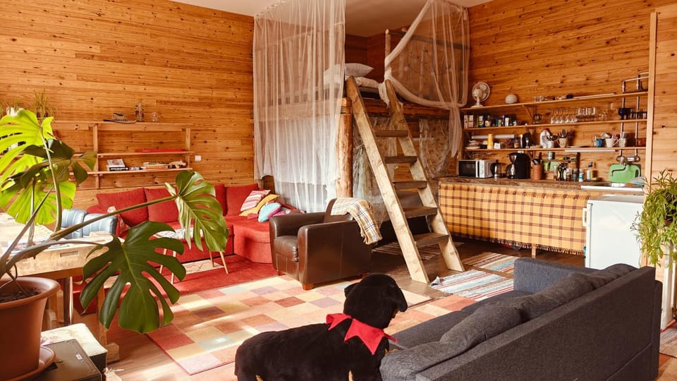 BB Polle - with the horse view Apartment in Finland