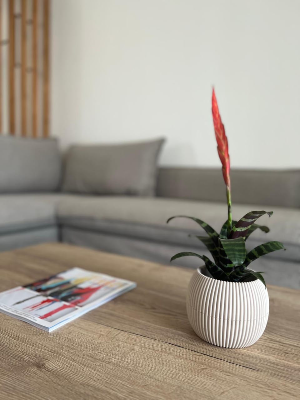 Living room, Decorative detail, Seating area