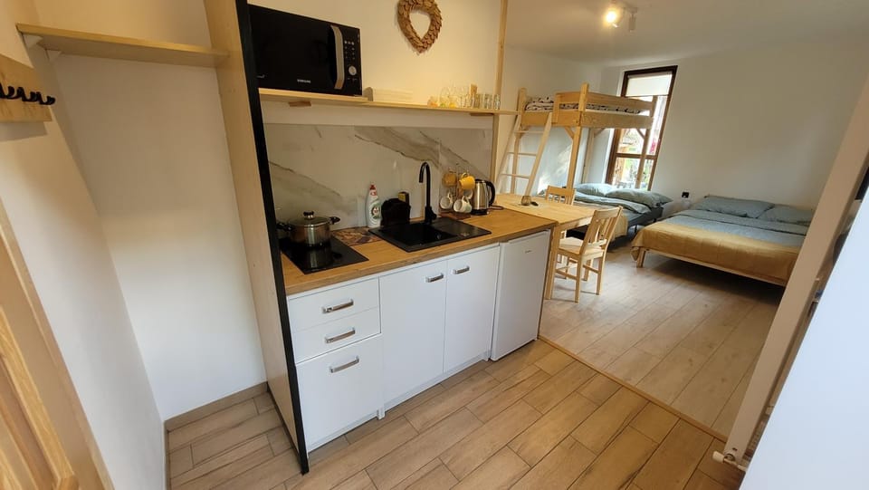 Apartament na Kasztanowej Apartment in Lesser Poland Voivodeship