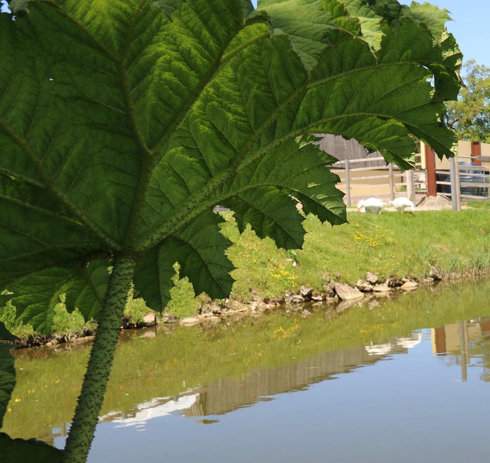 Knapp Farm Glamping Lodge 2 Campground/ 
RV Resort in South Somerset District