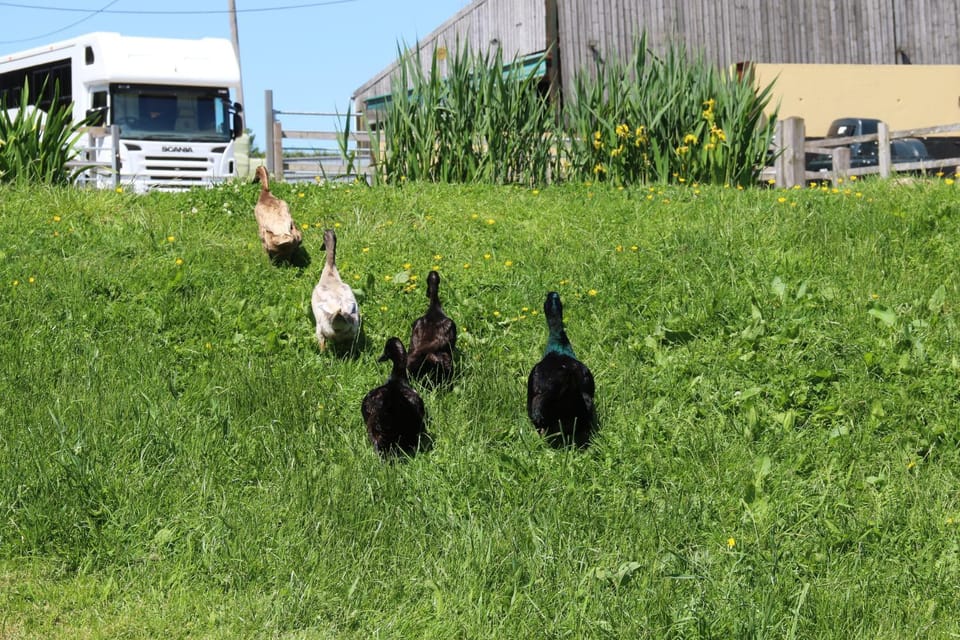 Knapp Farm Glamping Lodge 2 Campground/ 
RV Resort in South Somerset District