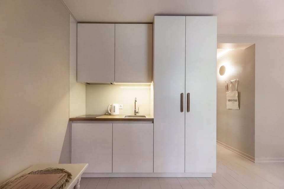 Kitchen or kitchenette, minibar, stove, wardrobe