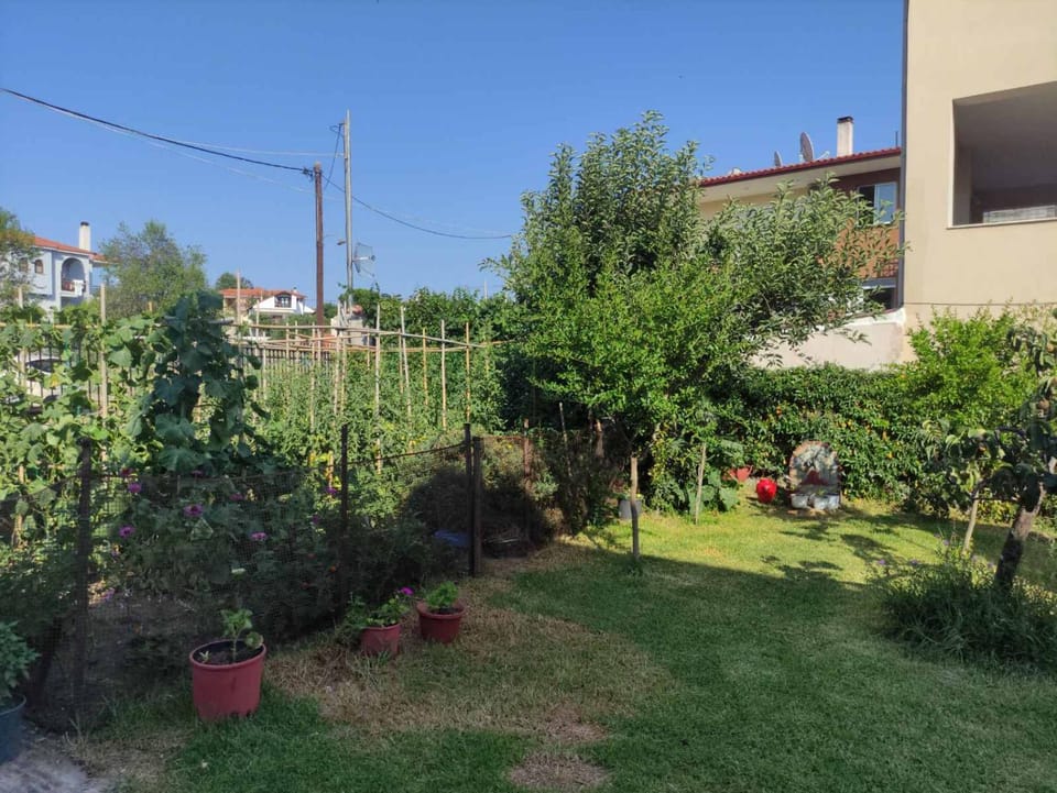 Garden, Garden view
