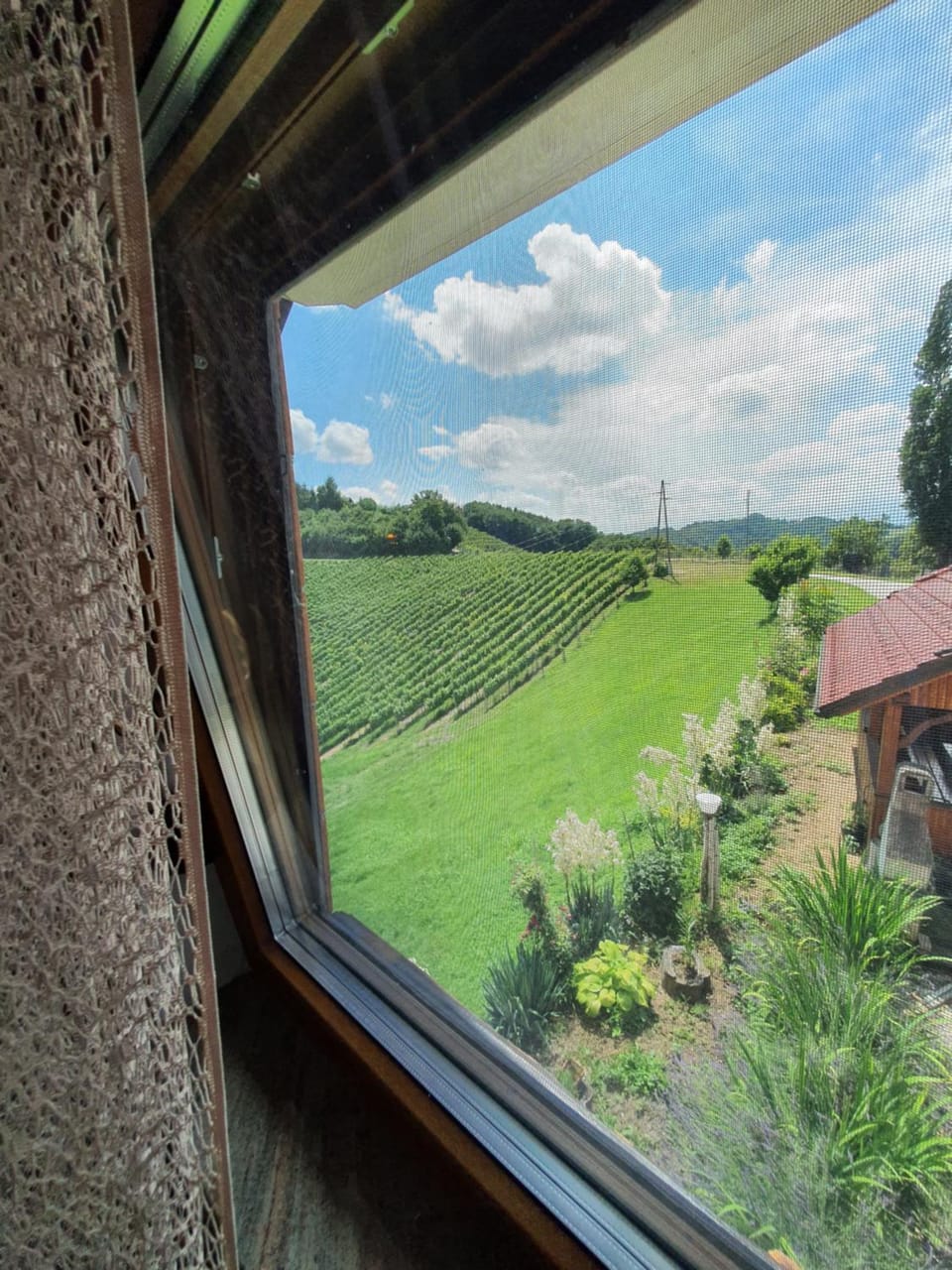Garden view