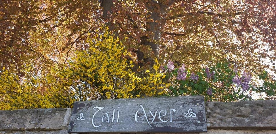 Property logo or sign