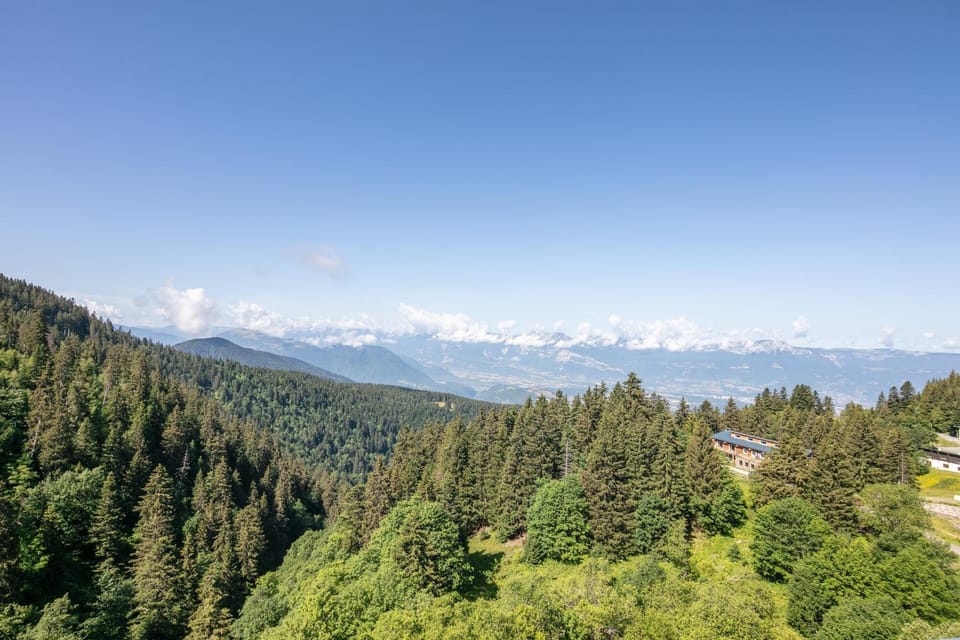 Natural landscape