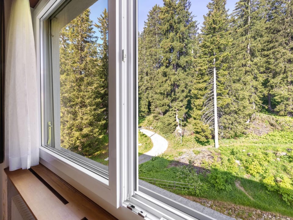 View (from property/room)