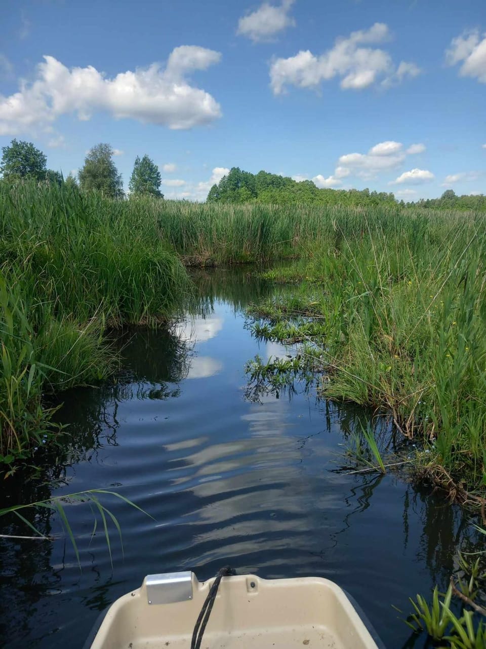 River view