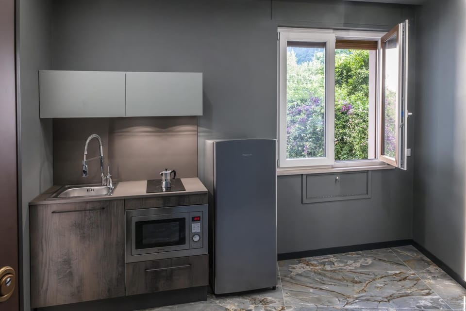 Kitchen or kitchenette, minibar, stove