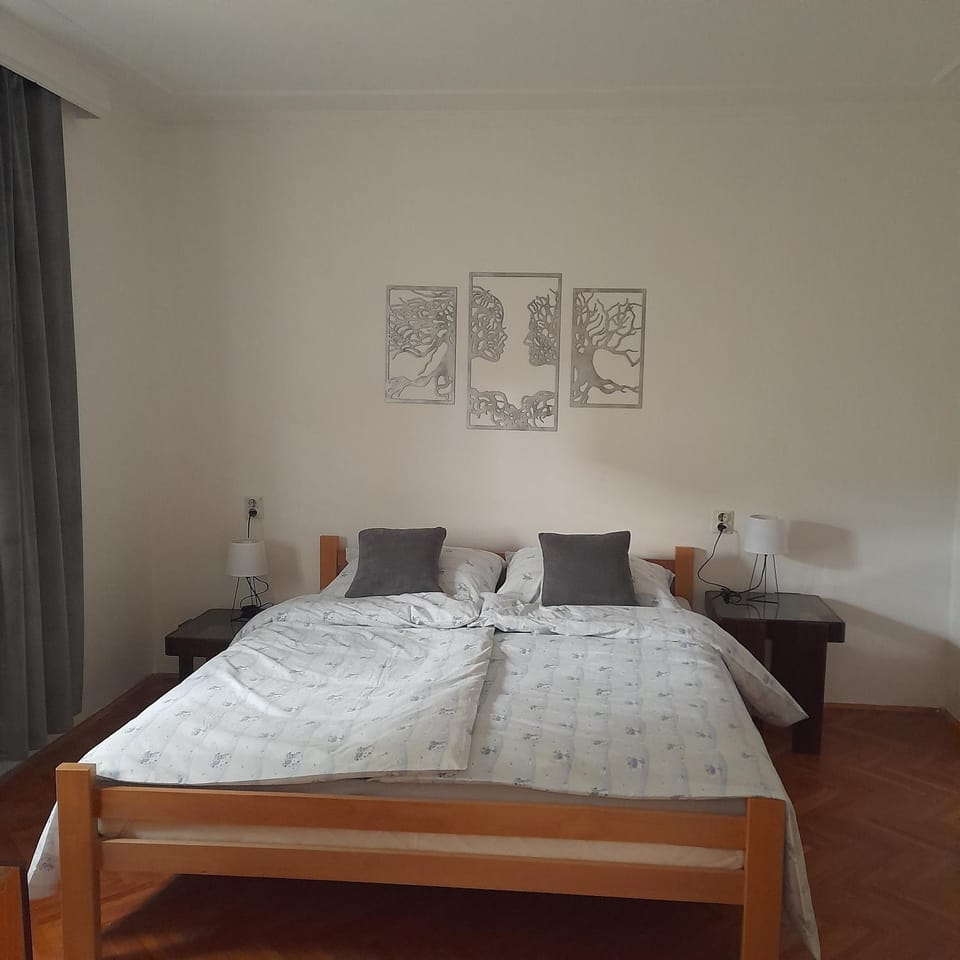 Centar Apartman Apartment in Vojvodina