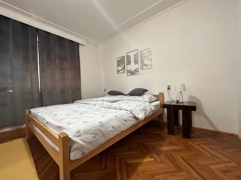 Centar Apartman Apartment in Vojvodina