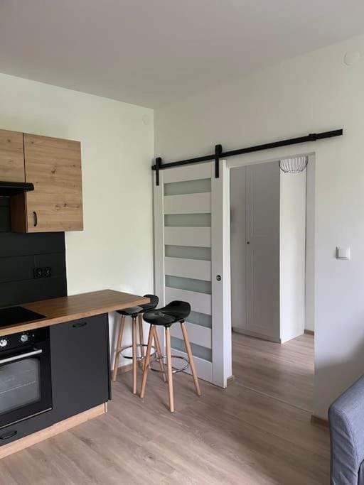 Apartament Kattowitz Sokolska Apartment in Poland
