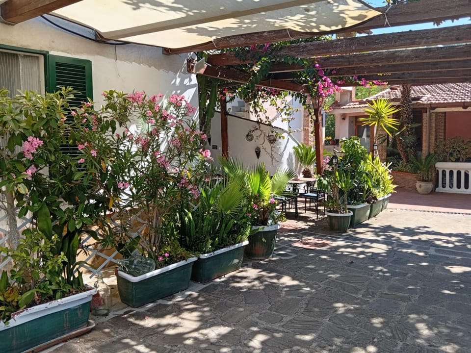 La capannina cilento cam 12 Bed and Breakfast in Campania