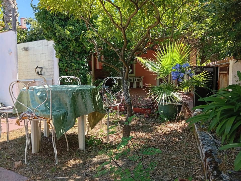 La capannina cilento cam 12 Bed and Breakfast in Campania