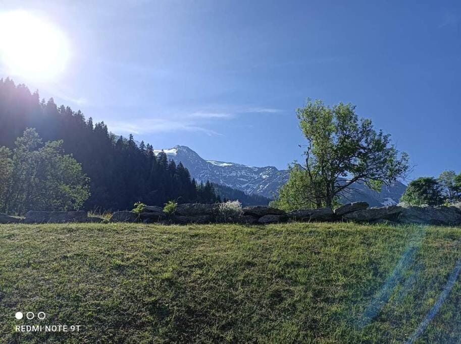 Appartement en rez de jardin vue montagne Apartment in Les Contamines-Montjoie