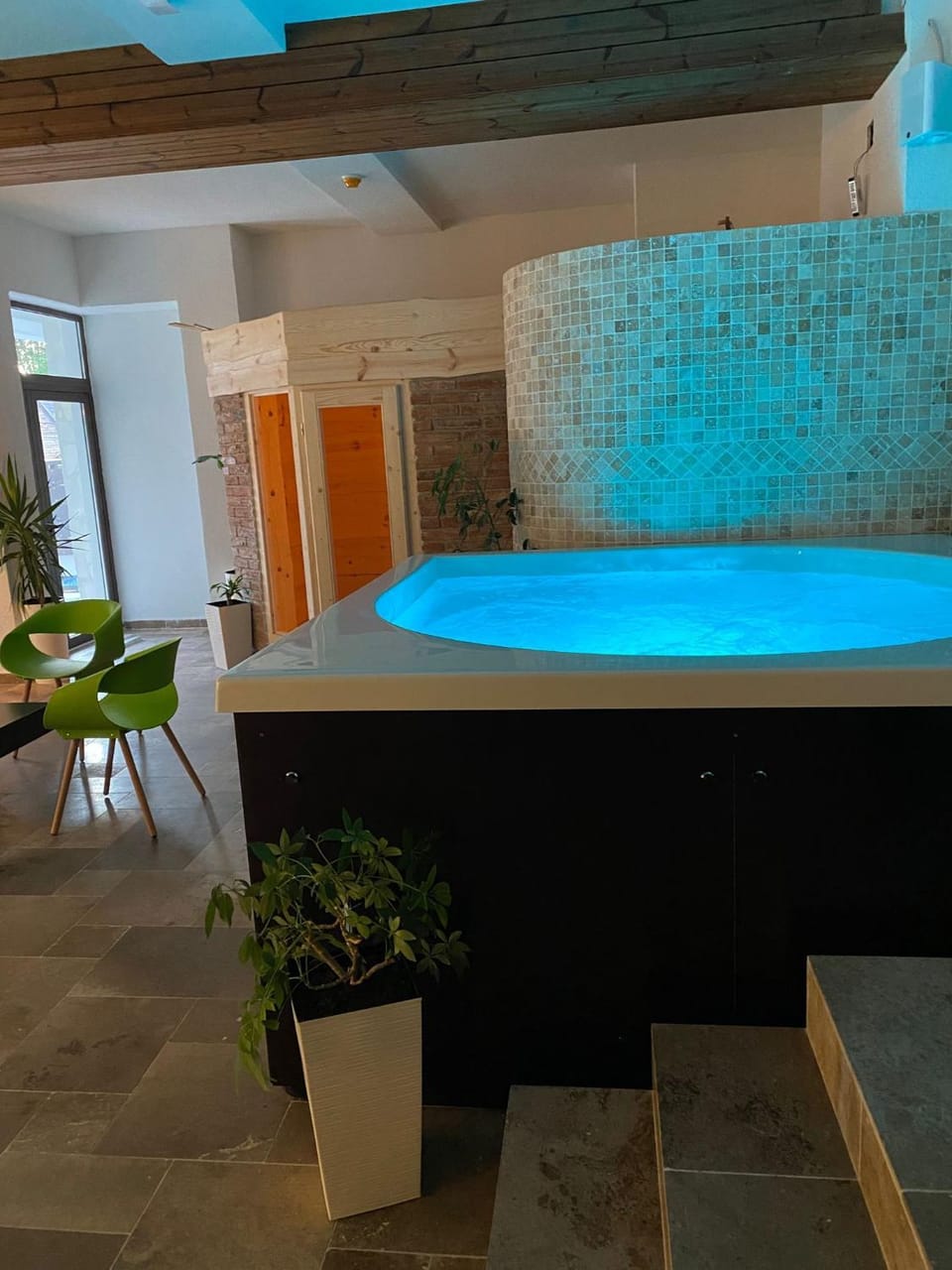 Spa and wellness centre/facilities, Swimming pool
