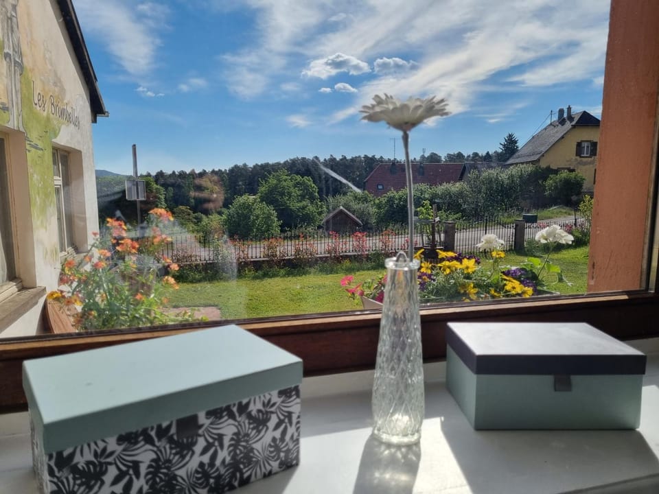 View (from property/room), Garden view