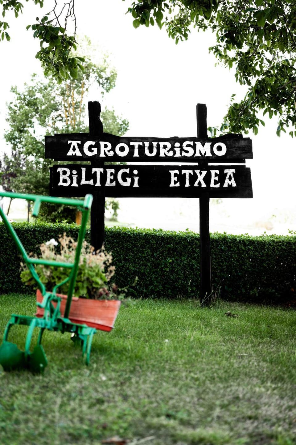 Logo/Certificate/Sign