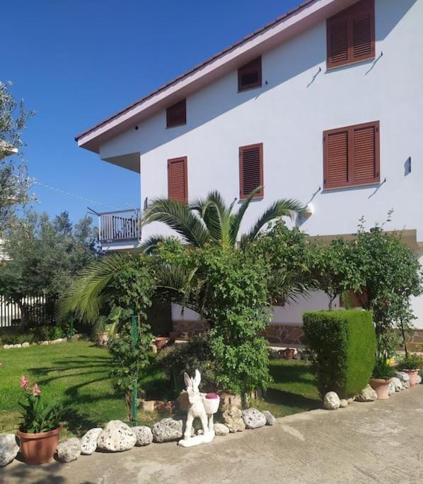Property building, Garden, Garden