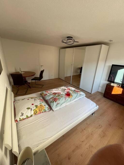 Kasa Klemm - helle und zentral gelegene Wohnung Apartment in Baden-Württemberg