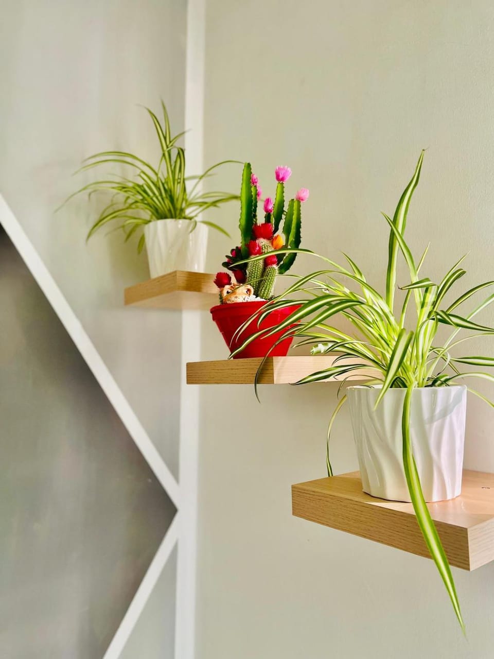 Katrin house Apartment in Verona