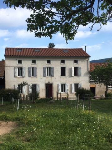 Property building, Garden, Garden