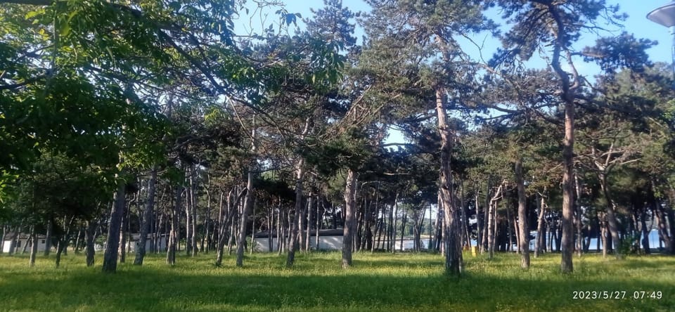 Natural landscape